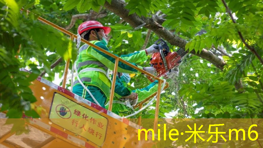 mile·米乐m6：网球拍长期闲置的危害是什么