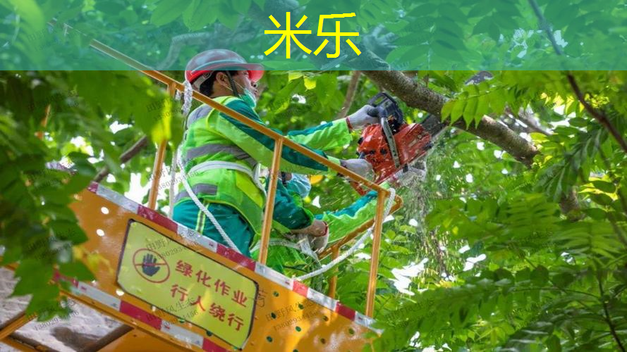 米乐m6官网：网球拍线多久松动正常啊