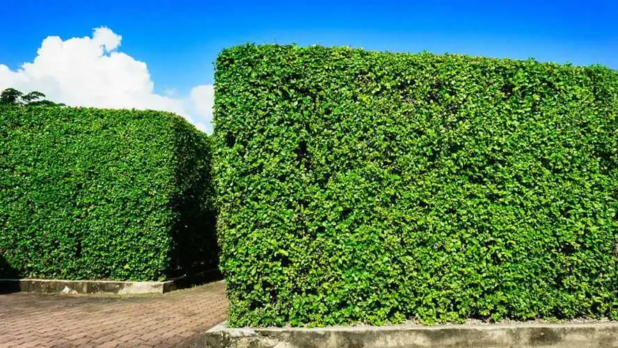 米乐：夏日必游！亲临室外游乐场玩转刺激滑梯踏脚