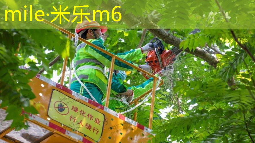 米乐：室内健身跳床