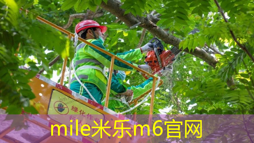 网球拍长期闲置的危害是什么