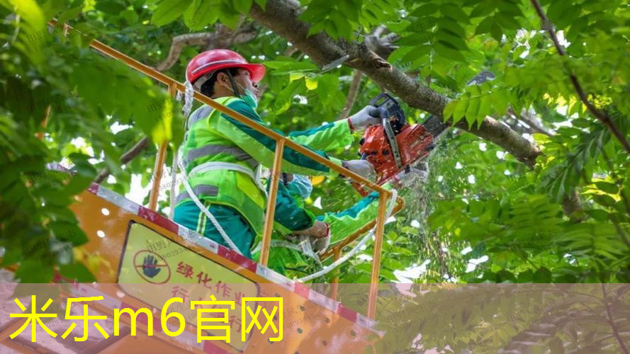 网球拍线多久松动正常啊