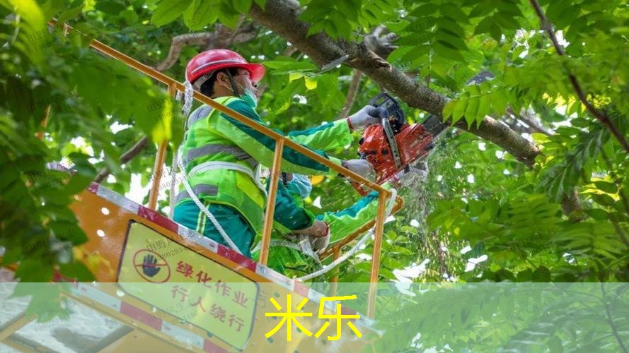 室内健身跳床